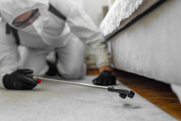 Professional Bed Bug Control technician working in Lafayette, LA