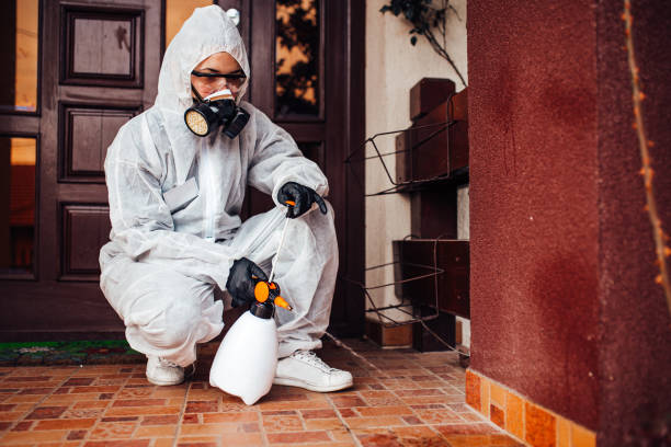 Reliable Bed Bug Control contractor in Lafayette, LA by Nex Pest Control